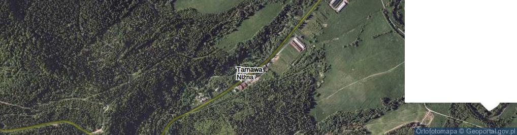 Zdjęcie satelitarne Tarnawa Niżna ul.